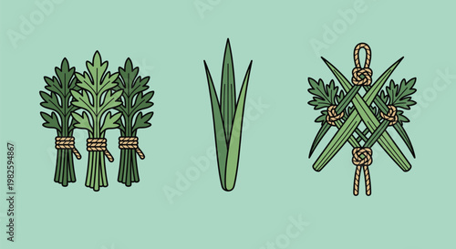 Traditional mugwort and calamus leaves bundles vector set for Dragon Boat Festival customs to ward off evil and celebrate ancient Chinese holiday