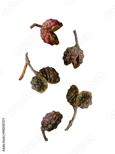 Dried Sichuan pepper pods with varying textures and deep colors, some open.