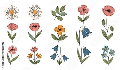 Collection of simple hand drawn floral elements featuring daisies poppies and bellflowers perfect for spring summer natural botanical decorations and digital design projects