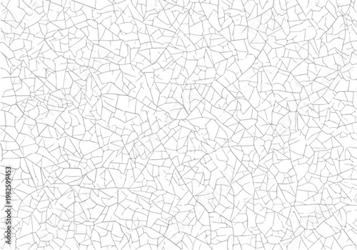 Cracked surface texture with fine lines and intricate patterns on a white background