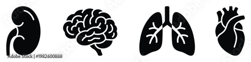 Human internal organs represented by simple black silhouette icons on a clean background, ideal for medical education, healthcare presentations, and scientific research materials