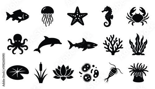Diverse aquatic life silhouettes featuring marine animals, freshwater plants, and microorganisms, ideal for educational science materials, environmental graphics, and nature themed design