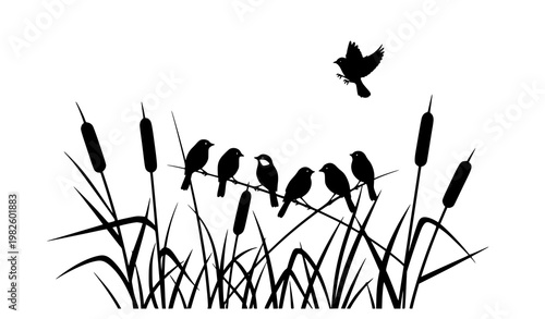 Minimal birds on reeds silhouette vector with dynamic flying bird modern flat nature design isolated on white background