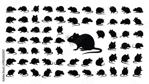 Collection of various black mouse and rat silhouettes in different dynamic poses for animal biology projects, pest control marketing, veterinary clinic promotional materials, and