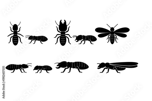 Collection of Black Termite Insect Silhouettes Illustrating Different Colony Castes such as Worker, Soldier with Mandibles, and Winged Alate Swarmer for Pest Control and Entomology Education