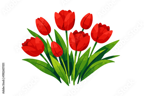 Set of red tulips with green leaves in artistic flat style with trendy grainy texture for spring floral design, isolated on white background. Beautiful bouquet for Mother's Day and Women's Day.