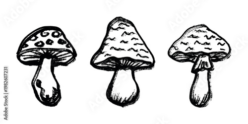Hand drawn mushroom doodle set Botanical illustration Cute autumn mushroom Healthy eco food Organic vegetarian food For stickers, greeting card, design, print, packaging, decor, kids books