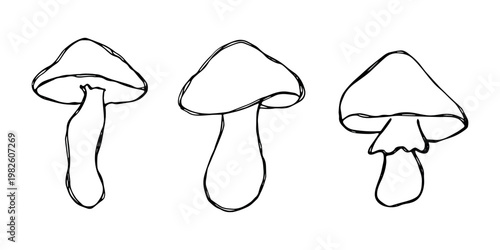 Hand drawn mushroom doodle set Botanical illustration Cute autumn mushroom Healthy eco food Organic vegetarian food For stickers, greeting card, design, print, packaging, decor, kids books