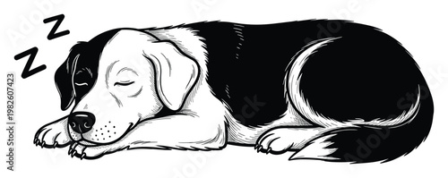 A serene black and white sleeping dog peacefully resting in a hand drawn sketch style perfect for pet care promotions childrens stories and animal welfare campaigns