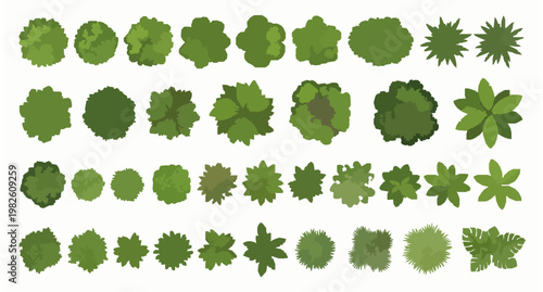 Top view landscape plant and tree set with overhead garden elements in clean vector illustration style