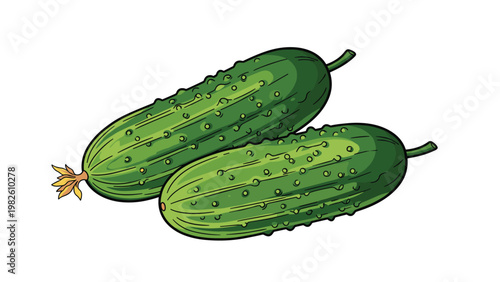 Two fresh green cucumbers with small bumps and yellow flower attached to one end on clean white background for food illustration.
