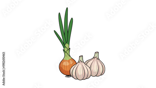 Fresh yellow onion and two bulbs of garlic shown together in a detailed color illustration isolated on white background.