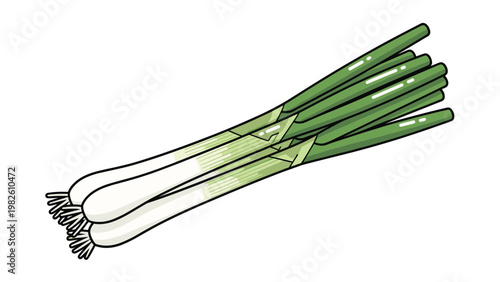 Bunch of fresh green onions or scallions with white roots and long green stems shown in a simple color illustration.