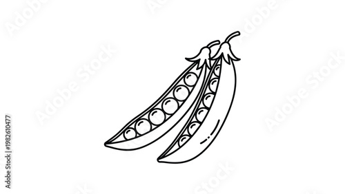 Simple black and white line drawing of two open pea pods with round peas inside isolated on a plain white background.