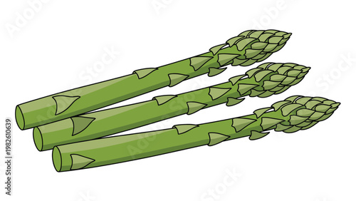 Three fresh green asparagus spears with textured tips shown in a side view illustration on a white background for healthy eating.