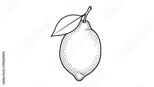 Stylized stipple drawing of fresh lemon fruit with single green leaf attached to its stem isolated on white background for botanical concepts.