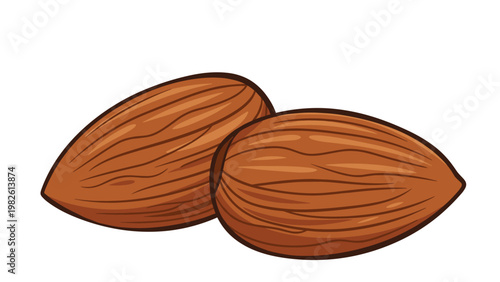 Simple and clean illustration of two whole brown almonds in their skins presented as a healthy snack or organic food ingredient.