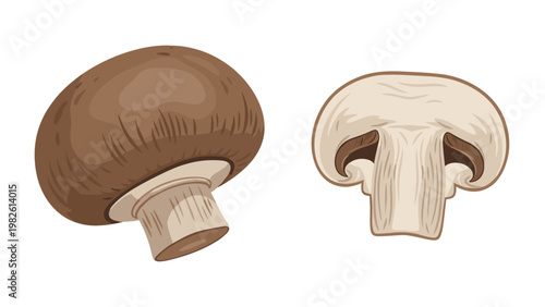 Whole brown mushroom and a vertical cross section showing the internal gills and stem structure in a detailed color illustration.