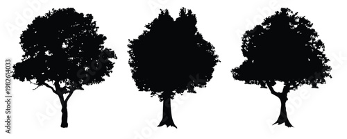  tree silhouettes set of vintage black tree 