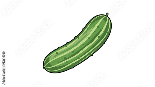 Colorful illustration of a single green cucumber with light stripes and bumpy skin texture shown on a plain white background.