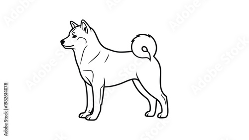 Elegant line drawing of a shiba inu dog standing in profile showing its characteristic curled tail and pointed ears in vector art.