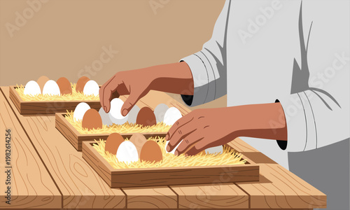 Hands carefully placing fresh eggs into wooden trays filled with straw