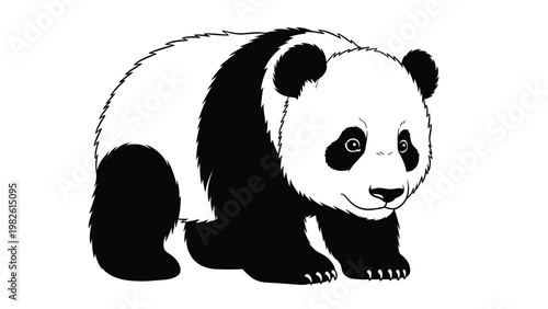 Giant panda walks across a plain white background in a detailed black and white line art illustration of this famous bear.