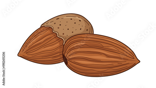 Two whole almonds in their brown skins are depicted in a detailed hand-drawn style to highlight the healthy nature of these popular edible nuts.