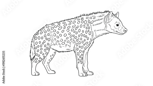 Intricate black and white line illustration of a spotted hyena captures the unique physical features of this African predator for coloring.