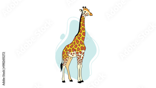 Tall giraffe with its characteristic orange and yellow patterns stands gracefully in front of a soft blue abstract shape on a white background.