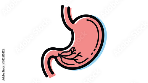 Internal view of a human stomach with internal structures is shown in a colorful medical illustration for health and biology education.