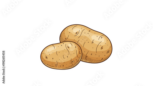 Two earthy potatoes with textured skin are rendered in a detailed hand drawn style for organic food and agricultural market concepts.