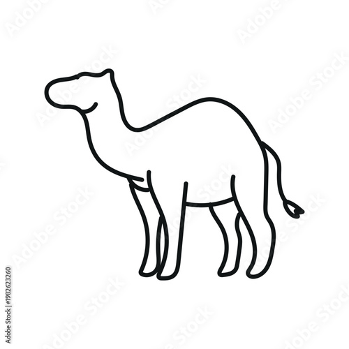 Camel Animal Illustration