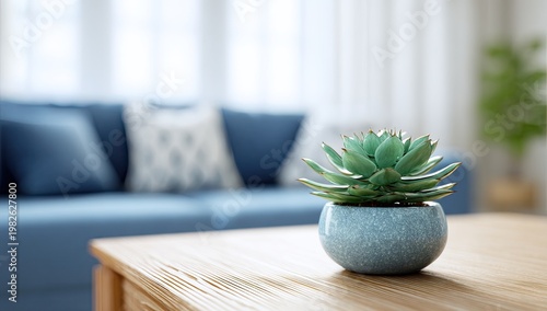 A small potted succulent plant sits on a wooden table in a softly lit room