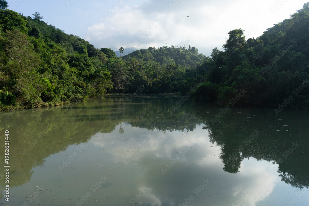 Fototapeta premium lake in the forest