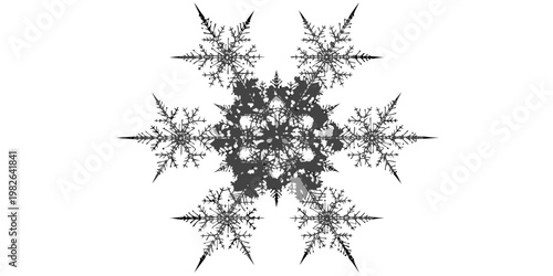 Intricate detailed single winter snowflake crystal illustration with organic branch like arms snowflake seasonal symmetry geometry delicate christmas ornament minimalist decoration