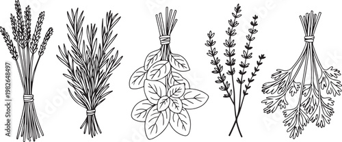 Bunches of dried herbs for cooking and aromatherapy isolated on transparent background.