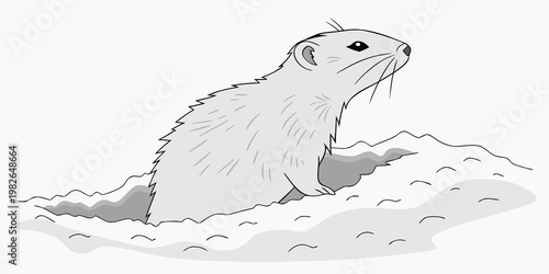 Black and white line art illustration of a cute ground squirrel peeking out from its burrow in the ground with squirrel groundhog wildlife illustration outdoors creature character