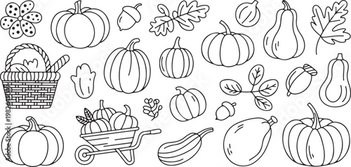 Autumn harvest set featuring pumpkins squash acorns leaves and wheelbarrow on transparent background for thanksgiving celebration.