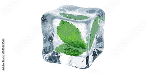 Fresh mint leaves encased in a translucent frozen ice cube with transparent refreshing isolated background beverage ingredient culinary aromatic abstract botanical presentation