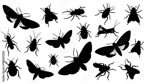 Assorted black insect silhouettes vector collection with moth beetle and bugs in dynamic layout isolated on white background