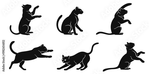 Set of black cat silhouettes in various playful and active poses with silhouette collection pouncing stretching reaching illustration isolated background domestic activity movement