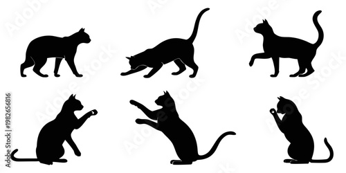 Collection of black cat silhouettes featuring diverse stances and movements silhouette reaching activity illustration isolated background domestic movement behavior creative wildlife