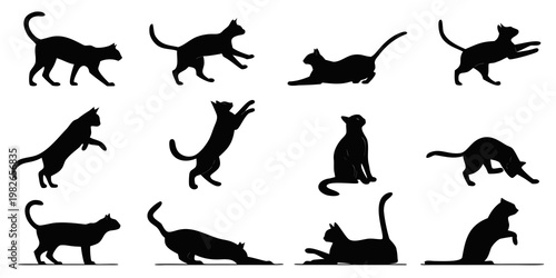 Large set of black cat silhouettes showing dynamic body postures with silhouette stretching pouncing illustration isolated background domestic movement behavior creative wildlife
