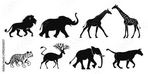 Set of wild animal silhouettes including lion elephant giraffe tiger and deer in black and white with silhouette wildlife elephant collection isolated illustration standing predator