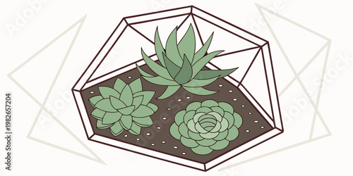 Succulent plants in geometric glass terrarium illustration with succulent terrarium geometric botanical greenery illustration houseplant decoration minimalist arrangement aesthetic