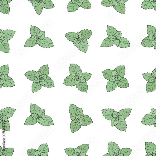 Mint Leaves Seamless Pattern. Green Herb Background. Hand-drawn Botanical Illustration. Vector.