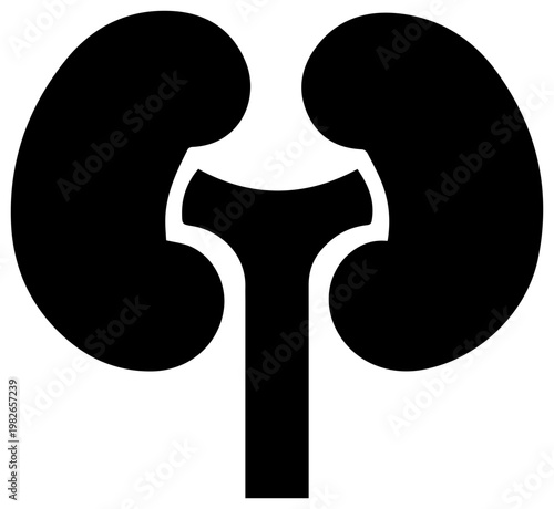 Stylized black solid icon representing the adrenal glands atop the kidneys symbolizing endocrine system function hormone production and medical science concepts with a clean