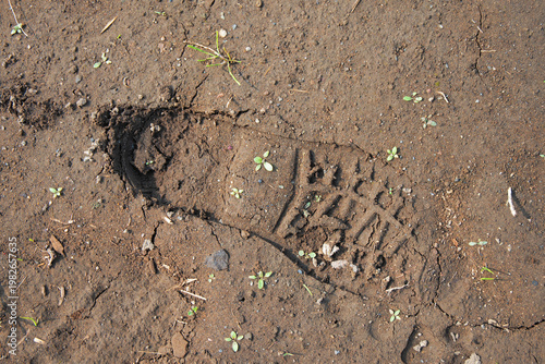 Cuadro en lienzo A single footprint left in the dark, damp earth, captured in a close-up photo emphasizing natural texture