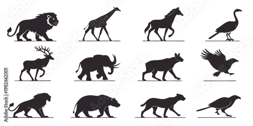 Assorted wild animal and bird silhouettes in black graphic style isolated on white background with silhouette wildlife elephant predator isolated illustration collection creature